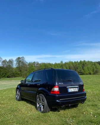 Mercedes-Benz ML cena 38500 przebieg: 242465, rok produkcji 2003 z Wolbrom małe 254